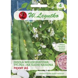 Fasola wielokwiatowa Piękny Jaś 30g - Nasiona - W. Legutko