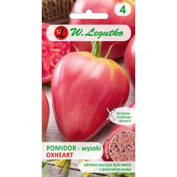 Pomidor/Solanum lycopersicum/Oxheart/różowe/0.20g-NI