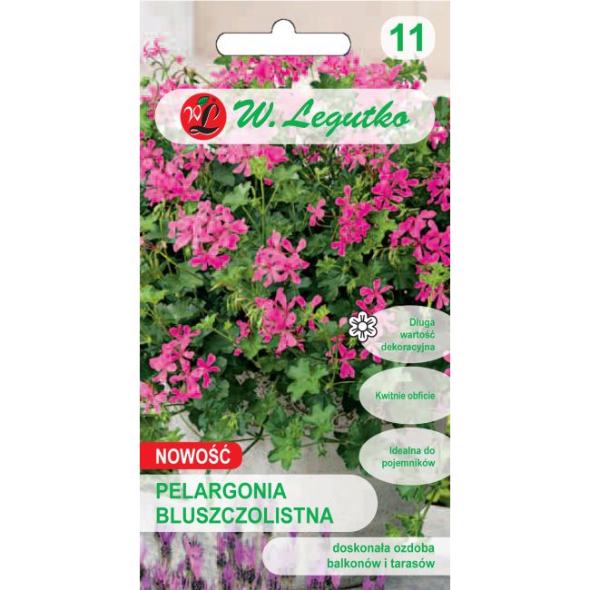 Pelargonia - Fuchsia F1 - fioletowa - Nasiona - W. Legutko