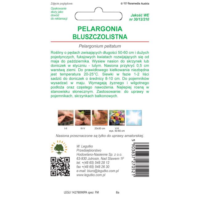Pelargonia - Fuchsia F1 - fioletowa - Nasiona - W. Legutko