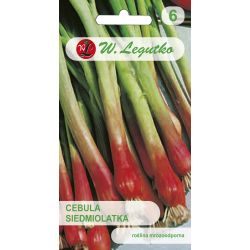 Cebula siedmiolatka Red Toga 2g - Nasiona - W. Legutko Cebula siedmiolatka Red Toga 2g - Nasiona - W. Legutko