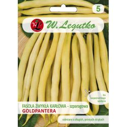 Fasola zwykła Goldpantera 40g - Nasiona - W. Legutko