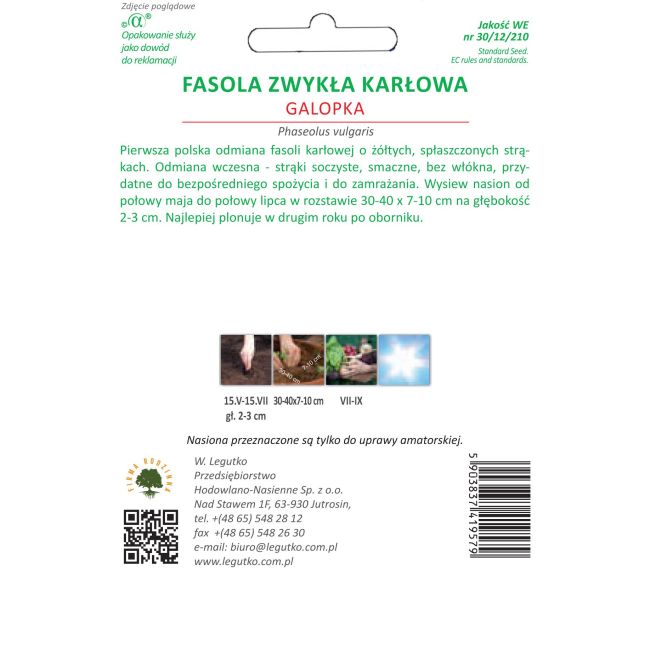 Fasola szparagowa - Galopka - Nasiona - W. Legutko