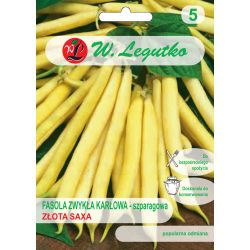 Fasola zwykła Złota Saxa 40g - Nasiona - W. Legutko