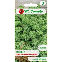 Jarmuż Dwarf Green Curled 1g - Nasiona - W. Legutko