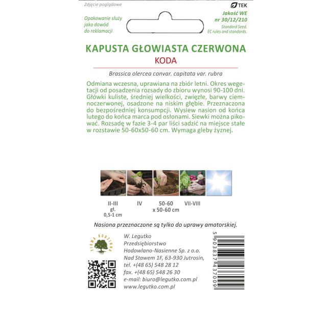Kapusta głowiasta Koda 2g - Nasiona - W. Legutko