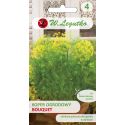 Koper ogrodowy - Bouquet - Nasiona - W. Legutko
