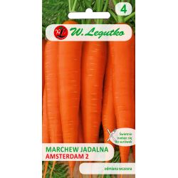 Marchew Amsterdam 2 6g - Nasiona - W. Legutko Marchew Amsterdam 2 6g - Nasiona - W. Legutko