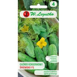 Ogórek Śremski F1 2g - Nasiona - W. Legutko