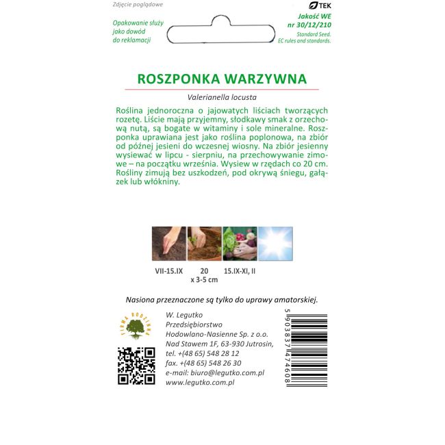 Roszponka warzywna - Verte de Cambrai - Nasiona - W. Legutko