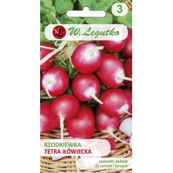 Rzodkiewka Tetra Iłówiecka 5g - Nasiona - W. Legutko
