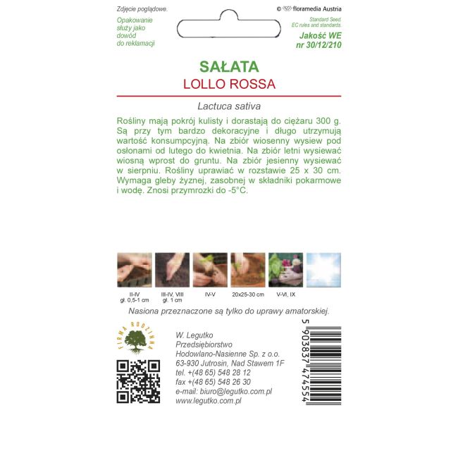 Sałata liściowa - Lollo Rosa - Nasiona - W. Legutko