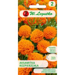 Aksamitka rozpierzchła peł. pomarańczowa 1g - Nasiona - W. Legutko Aksamitka rozpierzchła peł. pomarańczowa 1g - Nasiona - W. Legutko