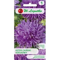 Aster chiński igiełkowy fioletowy 1g - Nasiona - W. Legutko Aster chiński igiełkowy fioletowy 1g - Nasiona - W. Legutko