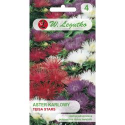Aster chiński Teisa Stars mieszanka 0.50g - Nasiona - W. Legutko Aster chiński Teisa Stars mieszanka 0.50g - Nasiona - W. Legutko