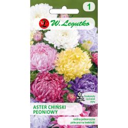 Aster chiński peoniowy mieszanka 1.25g - Nasiona - W. Legutko Aster chiński peoniowy mieszanka 1.25g - Nasiona - W. Legutko