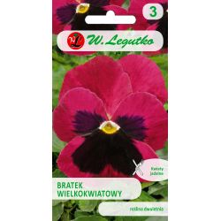 Bratek Claret karminoworóżowy 0.50g - Nasiona - W. Legutko