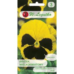 Bratek Firnengold, Rhinegold żółty z plamą 0.50g - Nasiona - W. Legutko Bratek Firnengold, Rhinegold żółty z plamą 0.50g - Nasiona - W. Legutko