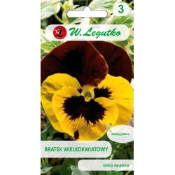 Bratek Red Wings żółto-brązowy 0.50g - Nasiona - W. Legutko Bratek Red Wings żółto-brązowy 0.50g - Nasiona - W. Legutko