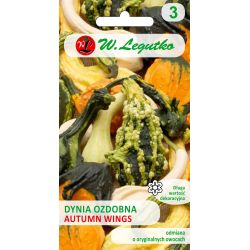 Dynia ozdobna Autumn Wings mieszanka 1g - Nasiona - W. Legutko Dynia ozdobna Autumn Wings mieszanka 1g - Nasiona - W. Legutko