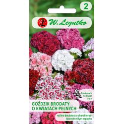 Goździk brodaty mieszanka 0.50g - Nasiona - W. Legutko Goździk brodaty mieszanka 0.50g - Nasiona - W. Legutko