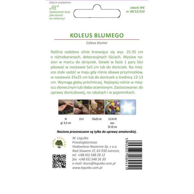 Koleus - Blumego Standard - mieszanka - Nasiona - W. Legutko