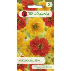 Kuklik chilijski mieszanka 0.30g - Nasiona - W. Legutko Kuklik chilijski mieszanka 0.30g - Nasiona - W. Legutko