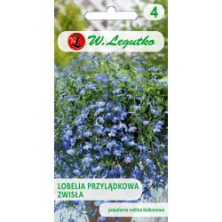 Lobelia przylądkowa zwisła niebieska 0.20g - Nasiona - W. Legutko