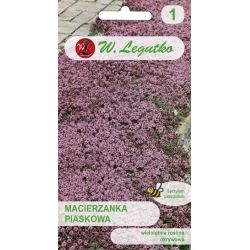 Macierzanka piaskowa lilaróżowa 0.10g - Nasiona - W. Legutko Macierzanka piaskowa lilaróżowa 0.10g - Nasiona - W. Legutko