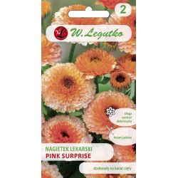 Nagietek lekarski Pink Surprise łososio-woróżowy 2g - Nasiona - W. Legutko Nagietek lekarski Pink Surprise łososio-woróżowy 2g - Nasiona - W. Legutko