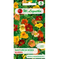 Nasturcja niska Alaska mieszanka 3g - Nasiona - W. Legutko