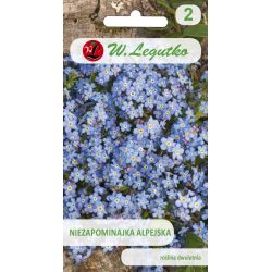 Niezapominajka alpejska niebieska 0.30g - Nasiona - W. Legutko