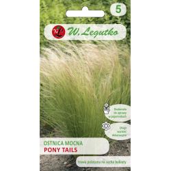 Ostnica mocna Pony Tails zielona 0.05g - Nasiona - W. Legutko
