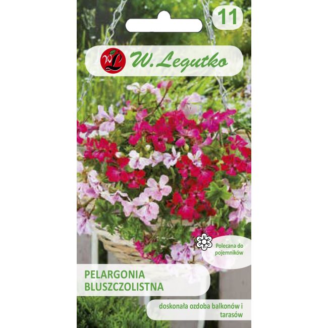 Pelargonia bluszczolistna - Speedy F2 - mieszanka - Nasiona kwiatów doniczkowych - W. Legutko