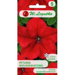 Petunia ogrodowa wielkokwiatowa czerwona 0.01g - Nasiona - W. Legutko Petunia ogrodowa wielkokwiatowa czerwona 0.01g - Nasiona - W. Legutko