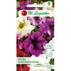 Petunia ogrodowa Smolicka olbrzymiokwiatowa mieszanka 0.01g - Nasiona - W. Legutko Petunia ogrodowa Smolicka olbrzymiokwiatowa mieszanka 0.01g - Nasiona - W. Legutko
