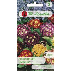 Pierwiosnek omszony mieszanka 0.10g - Nasiona - W. Legutko