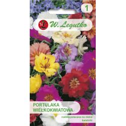 Portulaka wielkokwiatowa mieszanka 0.50g - Nasiona - W. Legutko