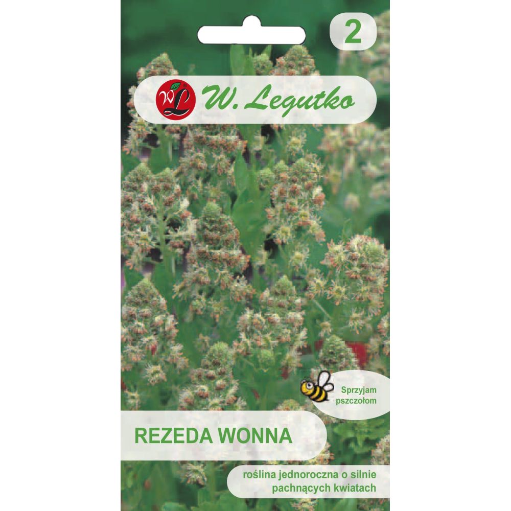 Rezeda wonna - biało-zielona - Sklep W. Legutko