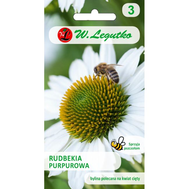 Rudbekia purpurowa - biała - Nasiona - W. Legutko