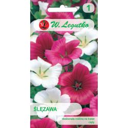 Ślęzawa trójwrębna mieszanka 1g - Nasiona - W. Legutko Ślęzawa trójwrębna mieszanka 1g - Nasiona - W. Legutko