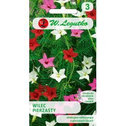 Wilec pierzasty mieszanka 1g - Nasiona - W. Legutko Wilec pierzasty mieszanka 1g - Nasiona - W. Legutko