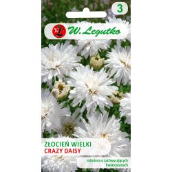 Złocień właściwy o kwiatach półpełnych- Crazy Daisy- biały