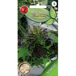 Kapusta Mizuna mieszanka odmian 0.50g - Nasiona - W. Legutko Kapusta Mizuna mieszanka odmian 0.50g - Nasiona - W. Legutko