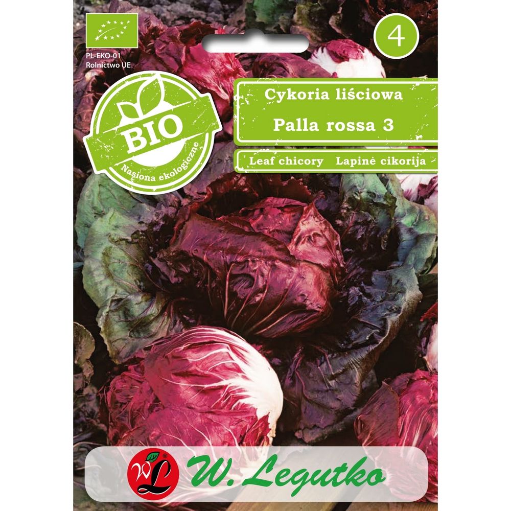 Cykoria - sałatowa - głowiasta - Palla rossa 3 - Nasiona - Sklep W. Legutko