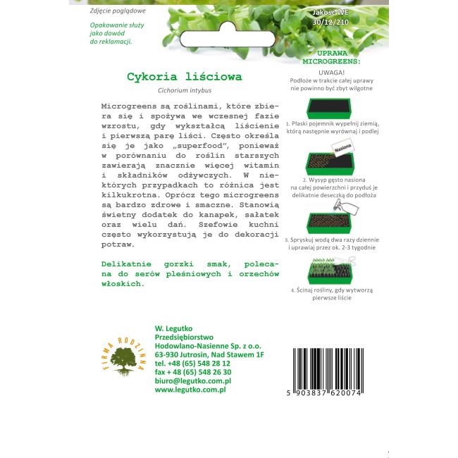 Cykoria - liściowa - Nasiona - W. Legutko