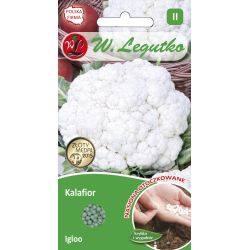 Kalafior Igloo 50szt. - Nasiona - W. Legutko