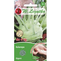 Kalarepa Gigant 100szt. - Nasiona - W. Legutko