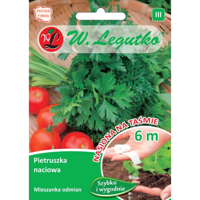 Pietruszka - naciowa - mieszanka odmian - taśma 6m - Nasiona - W. Legutko
