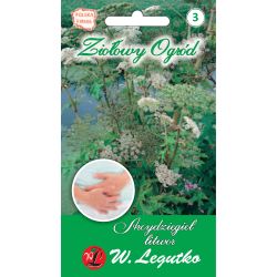 Arcydzięgiel litwor 0.50g - Nasiona - W. Legutko